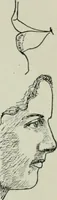 An illustration from Descriptive mentality from the head, face and hand (1899)