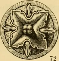 An illustration from Descriptive price list of patented artificial wood ornaments, for furniture manufacturers, architects, builders, interior decorators, stair builders, car builders, organ manufacturers, steamboat builders, etc. etc. (1871)