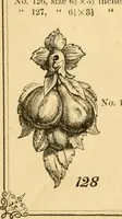 Picture 21 of 34 from Descriptive price list of patented artificial wood ornaments, for furniture manufacturers, architects, builders, interior decorators, stair builders, car builders, organ manufacturers, steamboat builders, etc. etc. (1871), leaf 13
