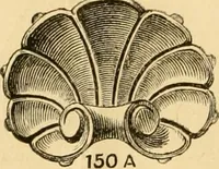 An illustration from Descriptive price list of patented artificial wood ornaments, for furniture manufacturers, architects, builders, interior decorators, stair builders, car builders, organ manufacturers, steamboat builders, etc. etc. (1871)