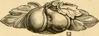 Picture 4 of 34 from Descriptive price list of patented artificial wood ornaments, for furniture manufacturers, architects, builders, interior decorators, stair builders, car builders, organ manufacturers, steamboat builders, etc. etc. (1871), leaf 7