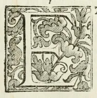 An illustration from Descritione delle feste fatte eseguire con reale magnificenza nella città di Parma, il mese di maggio 1690 : dal serenissimo signor dvca Ranvccio II per le nozze del serenissimo principe Odoardo Farnese svo primogenito, con la serenissima principessa Dorotea Sofia, palatina di Neobvrgo ... (1690)
