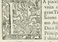 Picture 2 of 2 from Descritione delle feste fatte eseguire con reale magnificenza nella città di Parma, il mese di maggio 1690 : dal serenissimo signor dvca Ranvccio II per le nozze del serenissimo principe Odoardo Farnese svo primogenito, con la serenissima principessa Dorotea Sofia, palatina di Neobvrgo ... (1690), leaf 5