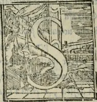An illustration from Descrittione de i lvoghi sacri della citta di Napoli : con li fondatori di essi, reliqvie, sepoltvre, et epitaphii scelti che in qvelle si ritrovano ... (1560)
