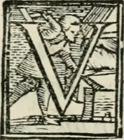 An illustration from Descrittione della mascherata della bvfola : fatta dalla magnanima natione spagnivola, nelle feste si fecero nell'alma città di Fiorenza per honorare la presenza della sereniss. altezza dell'eccellentiss. arciduca d'Austria, il quinto giorno di maggio 1569 (1569)