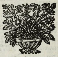 An illustration from Descrittione del Regno di Napoli : diuiso in dodeci prouincie, nella quale con breuità si tratta della fedelissima città di Napoli, e dele cose più notabili di essa, e delle città e terre più illustri del Regno, con le famiglie nobili, non solo di quella, ma dell'altre città di esso Regno : con i vescouadi, & arciuescouadi, e santi, che sono in esso ... (1671)