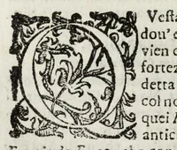 An illustration from Descrittione del Regno di Napoli : diuiso in dodeci prouincie, nella quale con breuità si tratta della fedelissima città di Napoli, e dele cose più notabili di essa, e delle città e terre più illustri del Regno, con le famiglie nobili, non solo di quella, ma dell'altre città di esso Regno : con i vescouadi, & arciuescouadi, e santi, che sono in esso ... (1671)