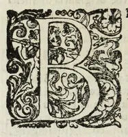 An illustration from Descrittione del Regno di Napoli : diuiso in dodeci prouincie, nella quale con breuità si tratta della fedelissima città di Napoli, e dele cose più notabili di essa, e delle città e terre più illustri del Regno, con le famiglie nobili, non solo di quella, ma dell'altre città di esso Regno : con i vescouadi, & arciuescouadi, e santi, che sono in esso ... (1671)