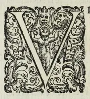 An illustration from Descrittione del Regno di Napoli : diuiso in dodeci prouincie, nella quale con breuità si tratta della fedelissima città di Napoli, e dele cose più notabili di essa, e delle città e terre più illustri del Regno, con le famiglie nobili, non solo di quella, ma dell'altre città di esso Regno : con i vescouadi, & arciuescouadi, e santi, che sono in esso ... (1671)