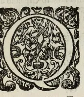 An illustration from Descrittione del Regno di Napoli : diuiso in dodeci prouincie, nella quale con breuità si tratta della fedelissima città di Napoli, e dele cose più notabili di essa, e delle città e terre più illustri del Regno, con le famiglie nobili, non solo di quella, ma dell'altre città di esso Regno : con i vescouadi, & arciuescouadi, e santi, che sono in esso ... (1671)