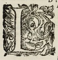 An illustration from Descrittione del Regno di Napoli : diuiso in dodeci prouincie, nella quale con breuità si tratta della fedelissima città di Napoli, e dele cose più notabili di essa, e delle città e terre più illustri del Regno, con le famiglie nobili, non solo di quella, ma dell'altre città di esso Regno : con i vescouadi, & arciuescouadi, e santi, che sono in esso ... (1671)
