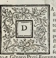 An illustration from Descrittione del Regno di Napoli : diuiso in dodeci prouincie, nella quale con breuità si tratta della fedelissima città di Napoli, e dele cose più notabili di essa, e delle città e terre più illustri del Regno, con le famiglie nobili, non solo di quella, ma dell'altre città di esso Regno : con i vescouadi, & arciuescouadi, e santi, che sono in esso ... (1671)