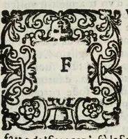 An illustration from Descrittione del Regno di Napoli : diuiso in dodeci prouincie, nella quale con breuità si tratta della fedelissima città di Napoli, e dele cose più notabili di essa, e delle città e terre più illustri del Regno, con le famiglie nobili, non solo di quella, ma dell'altre città di esso Regno : con i vescouadi, & arciuescouadi, e santi, che sono in esso ... (1671)