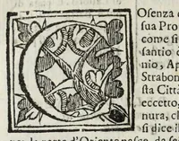 An illustration from Descrittione del Regno di Napoli : diuiso in dodeci prouincie, nella quale con breuità si tratta della fedelissima città di Napoli, e dele cose più notabili di essa, e delle città e terre più illustri del Regno, con le famiglie nobili, non solo di quella, ma dell'altre città di esso Regno : con i vescouadi, & arciuescouadi, e santi, che sono in esso ... (1671)