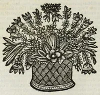 An illustration from Descrittione del Regno di Napoli : diuiso in dodeci prouincie, nella quale con breuità si tratta della fedelissima città di Napoli, e dele cose più notabili di essa, e delle città e terre più illustri del Regno, con le famiglie nobili, non solo di quella, ma dell'altre città di esso Regno : con i vescouadi, & arciuescouadi, e santi, che sono in esso ... (1671)