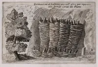 Picture 12 of 19 from Descrittione di diuersi ponti esistenti sopra li fiumi Nera e Teuere, con vn discorso particolare della nauigatione da Perugia a Roma (1676), leaf 72