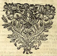An illustration from Descrittione di diuersi ponti esistenti sopra li fiumi Nera e Teuere, con vn discorso particolare della nauigatione da Perugia a Roma (1676)