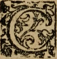 An illustration from Descrittione di Roma antica e moderna : nella quale si contengono chiese, monasterij, hospedali, compagnie, collegij e seminarij, tempij, teatri, anfiteatri, naumachie, cerchi, fori, curie, palazzi, e statue, librerie, musei, pitture, sculture, & i nomi de gli artefici : indice de'sommi pontefici, imperatori e duchi : con due copiosissime tauole (1643)