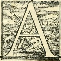 Picture 12 of 23 from Descrittione di tutta Italia (1550), leaf 445