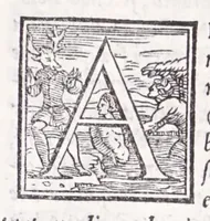An illustration from Descrittione di tvtta Italia di F. Leandro Alberti bolognese : nella qvale si contiene il sito di essa, l'origine, & le Signorie della Città, & de i Castelli, co i nomi antichi, & moderni, i costumi de' popoli, le conditioni de i paesi : et piv, gli hvomini famosi, che l'hanno illustrata, i Monti, i Laghi, i Fiumi, le Fontane, i Bagni, le Minere; con tutte l'opere marauigliose in lei dalla Natura prodotte (1553)