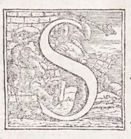 Picture 9 of 12 from Descrittione di tvtta Italia di F. Leandro Alberti bolognese : nella qvale si contiene il sito di essa, l'origine, & le Signorie della Città, & de i Castelli, co i nomi antichi, & moderni, i costumi de' popoli, le conditioni de i paesi : et piv, gli hvomini famosi, che l'hanno illustrata, i Monti, i Laghi, i Fiumi, le Fontane, i Bagni, le Minere; con tutte l'opere marauigliose in lei dalla Natura prodotte (1553), leaf 973