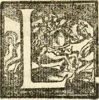 An illustration from Descrizion delle feste fatte in Firenze per la canonizzazione di Sto. Andrea Corsini (1632)