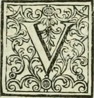 An illustration from Descrizione de' cartoni disegnati da Carlo Cignani, e de' quadri dipinti da Sebastiano Ricci : posseduti dal signor Giuseppe Smith, console della Gran Bretagna appresso la Sereniss. Repubblica di Venezia, con un compendio delle vite dei due celebri professori (1749)