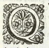 An illustration from Descrizione del Cataio, luogo del marchese Pio Enea degli Obizi, condottiero di gente d'armi et collateral generale della Serenissima Republica di Venezia : contenente diuersità d'istorie (1669)