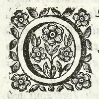 An illustration from Descrizione del Cataio, luogo del marchese Pio Enea degli Obizi, condottiero di gente d'armi et collateral generale della Serenissima Republica di Venezia : contenente diuersità d'istorie (1669)