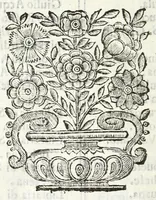 An illustration from Descrizione del Cataio, luogo del marchese Pio Enea degli Obizi, condottiero di gente d'armi et collateral generale della Serenissima Republica di Venezia : contenente diuersità d'istorie (1669)