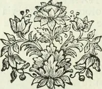 An illustration from Descrizione della provincia del Mugello con la carta geografica del medesimo : aggiuntavi un'antica cronica della nobil famiglia da Lutiano creduta di consorteria delli Ubaldini già signori dell'istesso Mugello (1748)