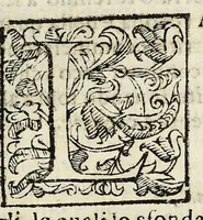 Picture 6 of 6 from Descrizione dellapparato, e degl'intermedi : fatti per la commedia rappresentata in Firenze : nelle nozze de' serenissimi Don Ferdinando Medici, e Madama Cristina di Loreno, gran duchi di Toscana (1589), leaf 65