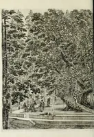 An illustration from Descrizione della regia villa, fontane, e fabbriche di Pratolino (1742)
