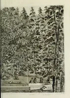 An illustration from Descrizione della regia villa, fontane, e fabbriche di Pratolino (1742)