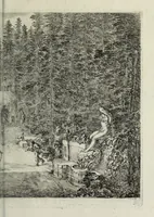 Picture 14 of 32 from Descrizione della regia villa, fontane, e fabbriche di Pratolino (1742), leaf 50