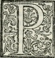 An illustration from Descrizione delle pompe e delle feste fatte nella venuta alla città di Firenze del sereniss. don Vincenzio Gonzaga, principe di Mantoua e del Monferrato : per la serenissima d. Leonora de' Medici, principessa di Toscana, sua consorte (1584)