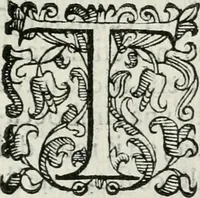 An illustration from Descrizione delle pompe e delle feste fatte nella venuta alla città di Firenze del sereniss. don Vincenzio Gonzaga, principe di Mantoua e del Monferrato : per la serenissima d. Leonora de' Medici, principessa di Toscana, sua consorte (1584)
