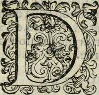 An illustration from Descrizione delle pompe e delle feste fatte nella venuta alla città di Firenze del sereniss. don Vincenzio Gonzaga, principe di Mantoua e del Monferrato : per la serenissima d. Leonora de' Medici, principessa di Toscana, sua consorte (1584)