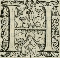An illustration from Descrizione delle pompe e delle feste fatte nella venuta alla città di Firenze del sereniss. don Vincenzio Gonzaga, principe di Mantoua e del Monferrato : per la serenissima d. Leonora de' Medici, principessa di Toscana, sua consorte (1584)