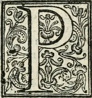An illustration from Descrizione delle pompe e delle feste fatte nella venuta alla città di Firenze del sereniss. don Vincenzio Gonzaga, principe di Mantoua e del Monferrato : per la serenissima d. Leonora de' Medici, principessa di Toscana, sua consorte (1584)