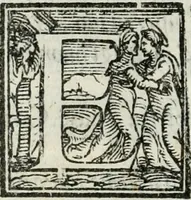 An illustration from Descrizione dell'entrata della sereniss. reina Giouanna d'Austria et dell'apparato, fatto in Firenze nella venuta, & per le felicissime nozze di S. Altezza et dell'illustrissimo, & eccellentiss. s. Don Francesco de Medici, prencipe di Fiorenza, & di Siena (1566)
