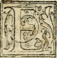 An illustration from Descrizione dell'entrata della sereniss. reina Giouanna d'Austria et dell'apparato, fatto in Firenze nella venuta, & per le felicissime nozze di S. Altezza et dell'illustrissimo, & eccellentiss. s. Don Francesco de Medici, prencipe di Fiorenza, & di Siena (1566)
