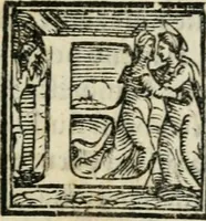 An illustration from Descrizione dell'entrata della sereniss. reina Giouanna d'Austria et dell'apparato, fatto in Firenze nella venuta, & per le felicissime nozze di S. Altezza et dell'illustrissimo, & eccellentiss. s. Don Francesco de Medici, prencipe di Fiorenza, & di Siena (1566)