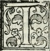 An illustration from Descrizione dell'entrata della sereniss. reina Giouanna d'Austria et dell'apparato, fatto in Firenze nella venuta, & per le felicissime nozze di S. Altezza et dell'illustrissimo, & eccellentiss. s. Don Francesco de Medici, prencipe di Fiorenza, & di Siena (1566)