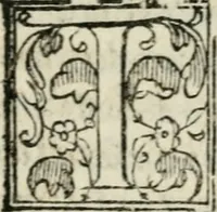 An illustration from Descrizione dell'entrata della sereniss. reina Giouanna d'Austria et dell'apparato, fatto in Firenze nella venuta, & per le felicissime nozze di S. Altezza et dell'illustrissimo, & eccellentiss. s. Don Francesco de Medici, prencipe di Fiorenza, & di Siena (1566)