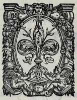 Picture 4 of 4 from Descrizione dell' entrata della sereniss. reina Giouanna d'Austria et dell'apparato, fatto in Firenze nella venuta, & per le felicissime nozze di S. Altezza et dell' illustrissimo & eccellentiss. S. Don Francesco de Medici, prencipe di Fiorenza, & di Siena (1566), leaf 160