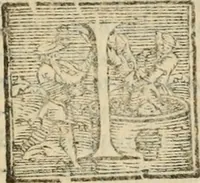 Picture 6 of 6 from Descrizione del magnificentiss. apparato, e de' maravigliosi intermedi : fatti per la commedia rappresentata in Firenze nelle felicissime nozze degl'illustrissimi ed eccellentissmi signori il signor don Cesare d'Este, e la signora donna Virginia Medici (1586), leaf 64