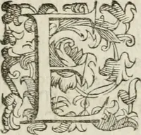 Picture 3 of 6 from Descrizione del magnificentiss. apparato, e de' maravigliosi intermedi : fatti per la commedia rappresentata in Firenze nelle felicissime nozze degl'illustrissimi ed eccellentissmi signori il signor don Cesare d'Este, e la signora donna Virginia Medici (1586), leaf 8
