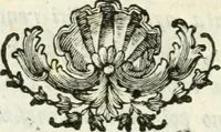 An illustration from Descrizione del museo d'antiquaria e del gabinetto d'istoria naturale del signor principe di Biscari (1787)
