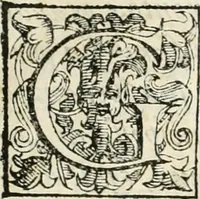An illustration from Descrizione del regale apparato per le nozze della serenissima Madama Cristina di Loreno, moglie del serenissimo don Ferdinando Medici, III. granduca di Toscana (1589)